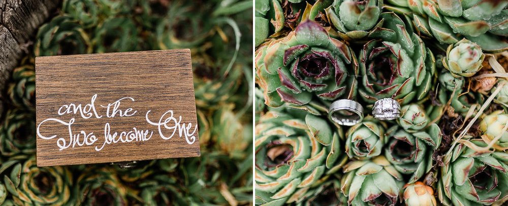wedding rings on succulent bouquet