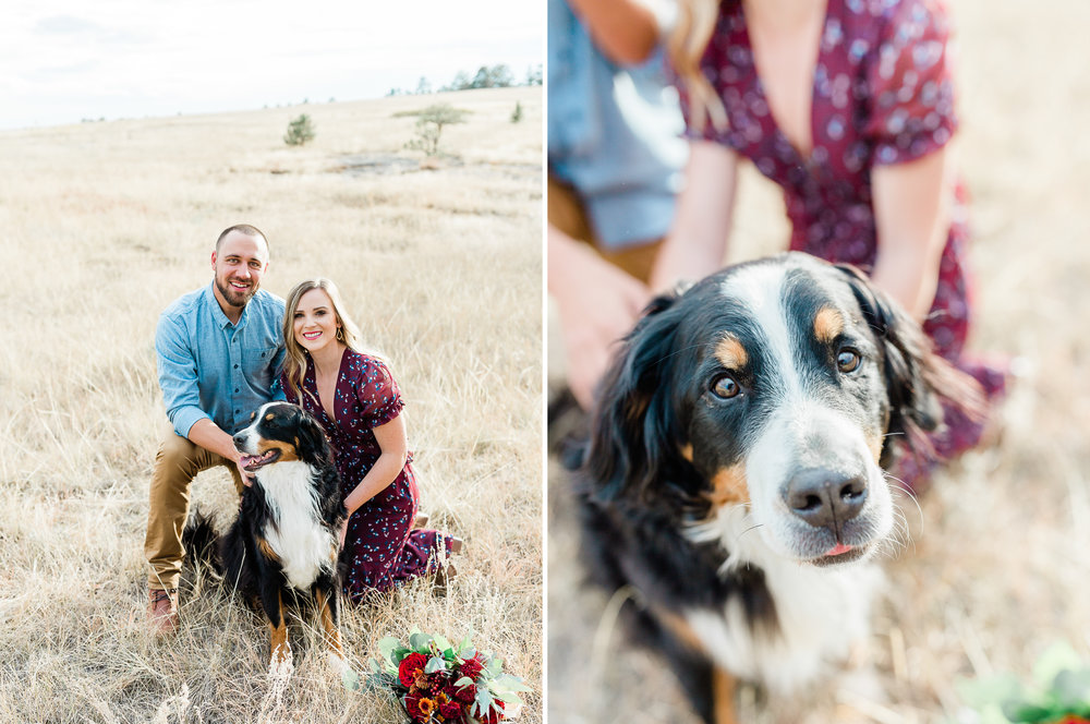 Castlewood Canyon Engagement Session with bernese dog